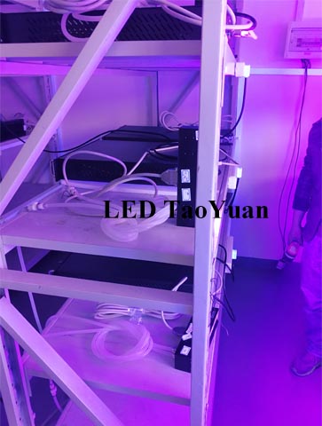 UV LED Curing System-Solutions-26 - Click Image to Close